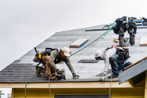 Professional Roofing technician working in Columbus, MN